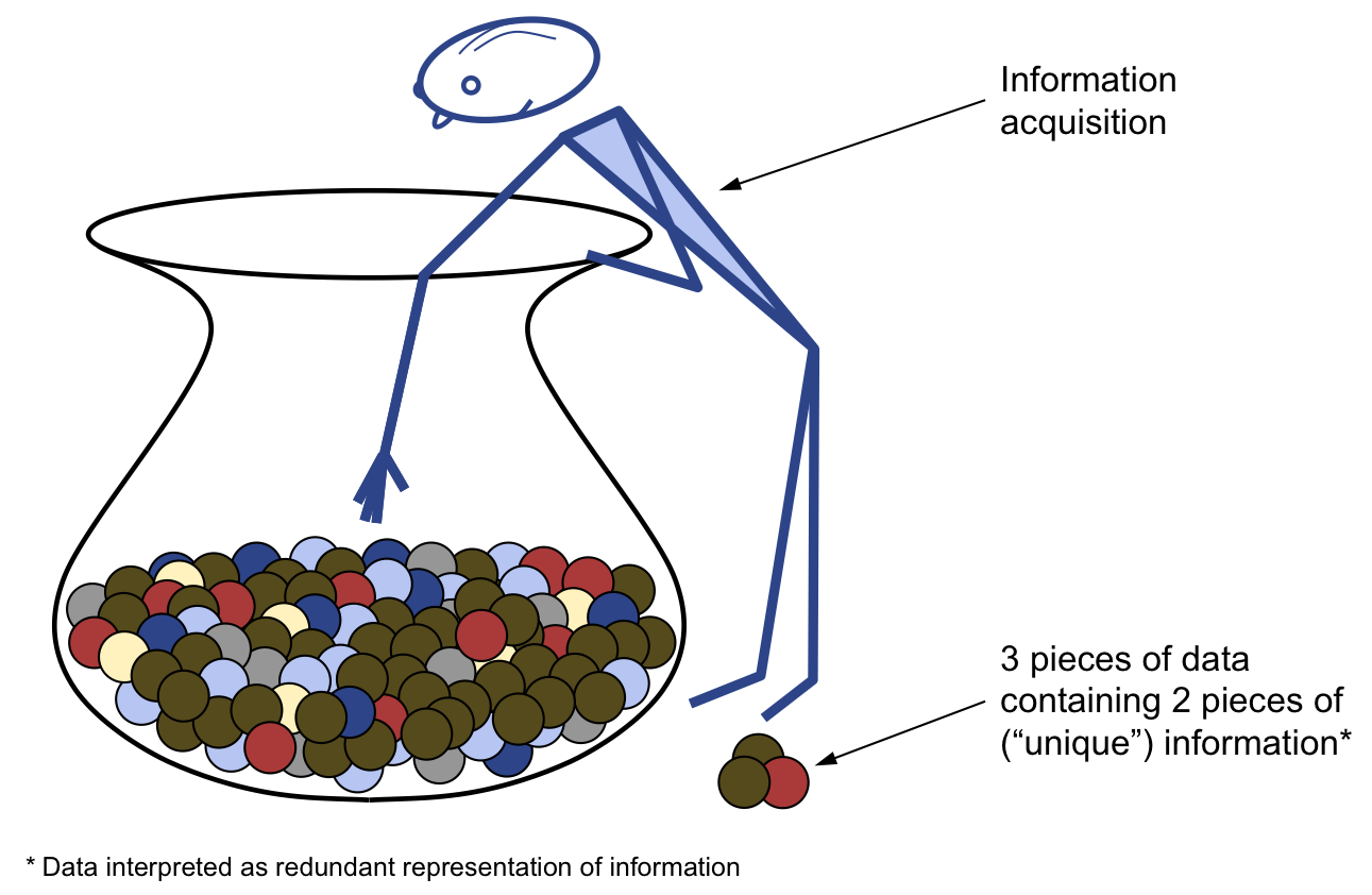 Information Acquisition Process